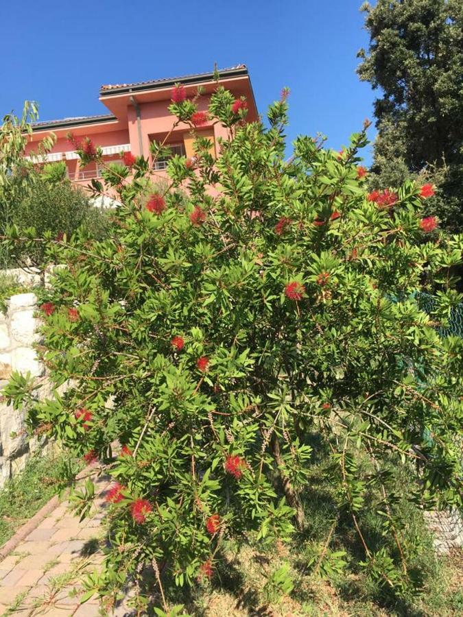 Villa Matovica Kampor Buitenkant foto
